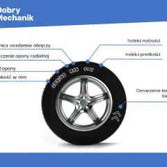 Na oponie widoczna jest szerokość 205 mm, profil 65, rozmiar felgi R16, indeks nośności 91 i indeks prędkości W.