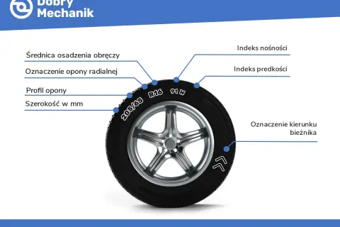 Na oponie widoczna jest szerokość 205 mm, profil 65, rozmiar felgi R16, indeks nośności 91 i indeks prędkości W.